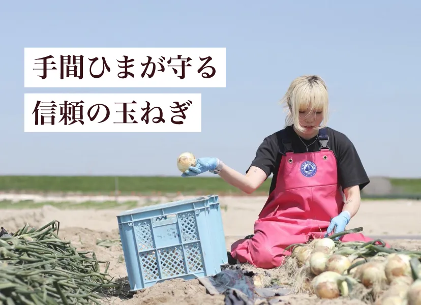手間ひまが守る信頼の玉ねぎ