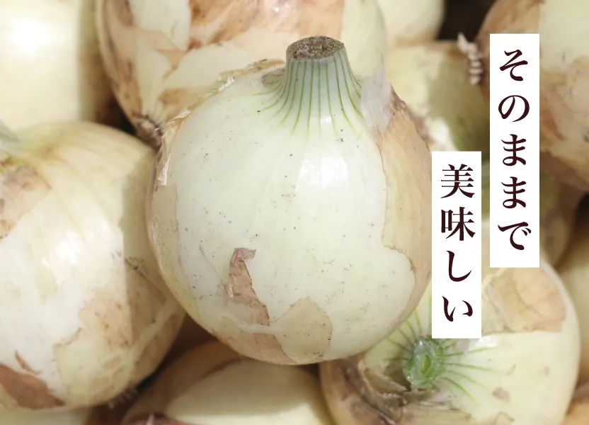 そのままで美味しい