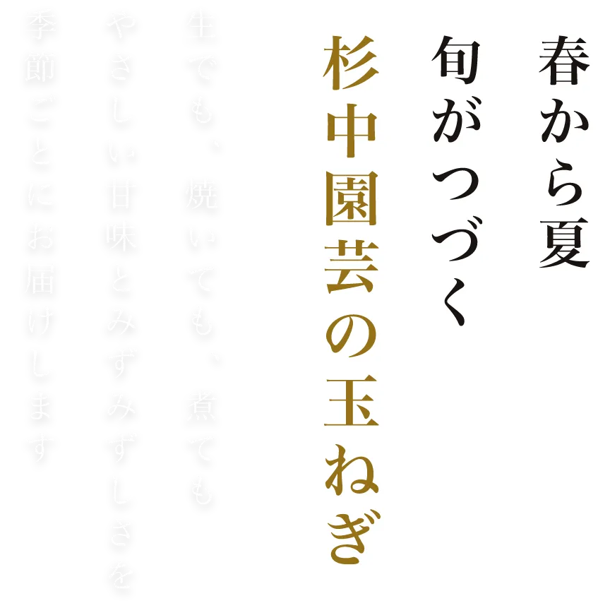 春から夏 旬がつづく杉中園芸の玉ねぎ 生でも、焼いても、煮ても、やさしい甘味とみずみずしさを季節ごとにお届けします