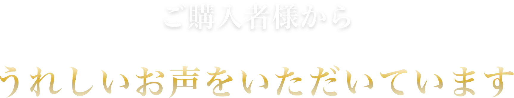 ご購入者様からうれしいお声をいただいています
