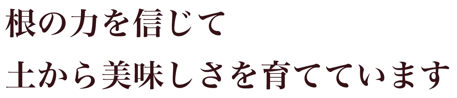根の力を信じて土から美味しさを育てています