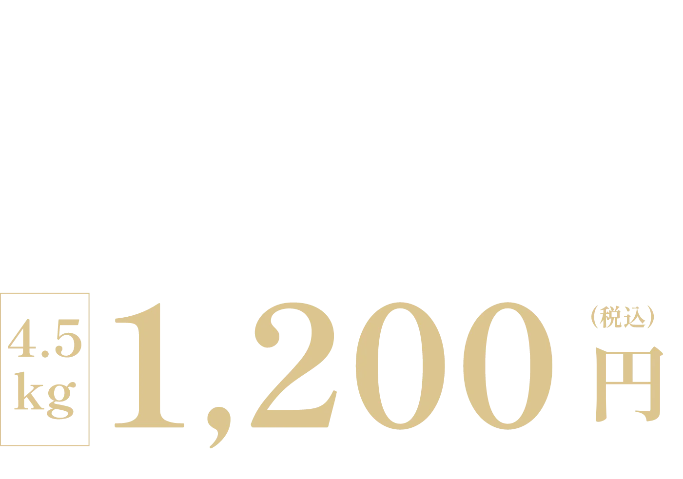 美味しい玉ねぎ『真玉』の値段について 4.5kg 1,200円(税込)※別途送料
