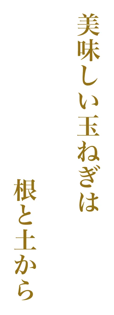美味しい玉ねぎは根と土から
