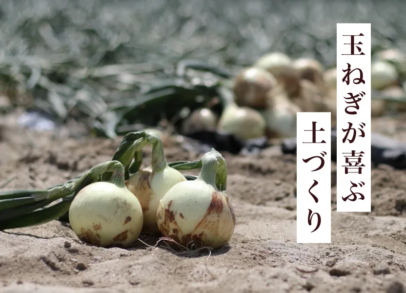 玉ねぎが喜ぶ土づくり