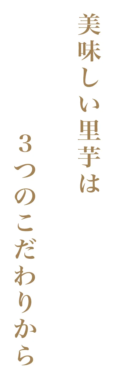 美味しい里芋は3つのこだわりから