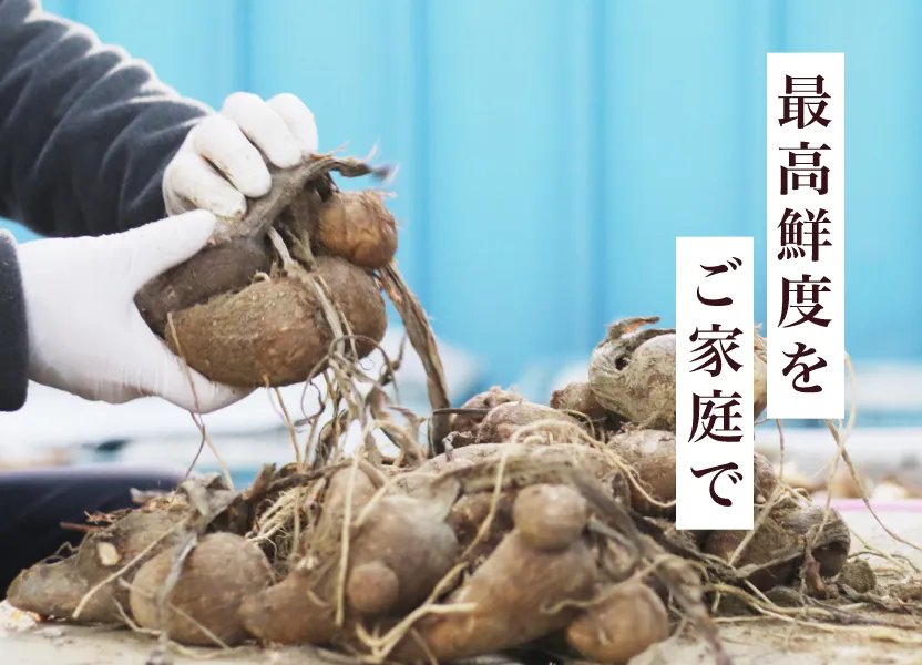 最高鮮度をご家庭で