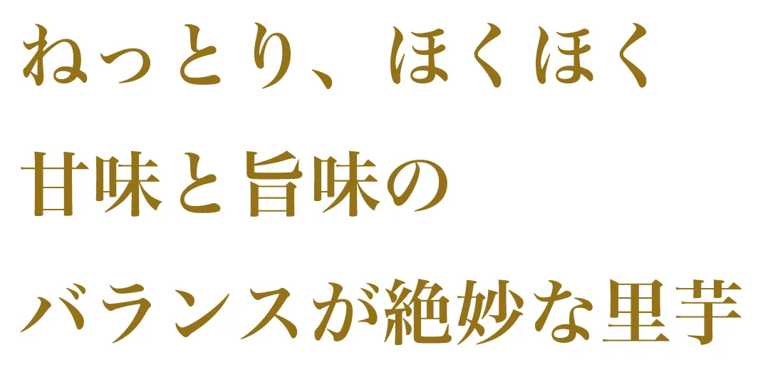 ねっとり、ほくほく 甘みと旨味のバランスが絶妙な里芋