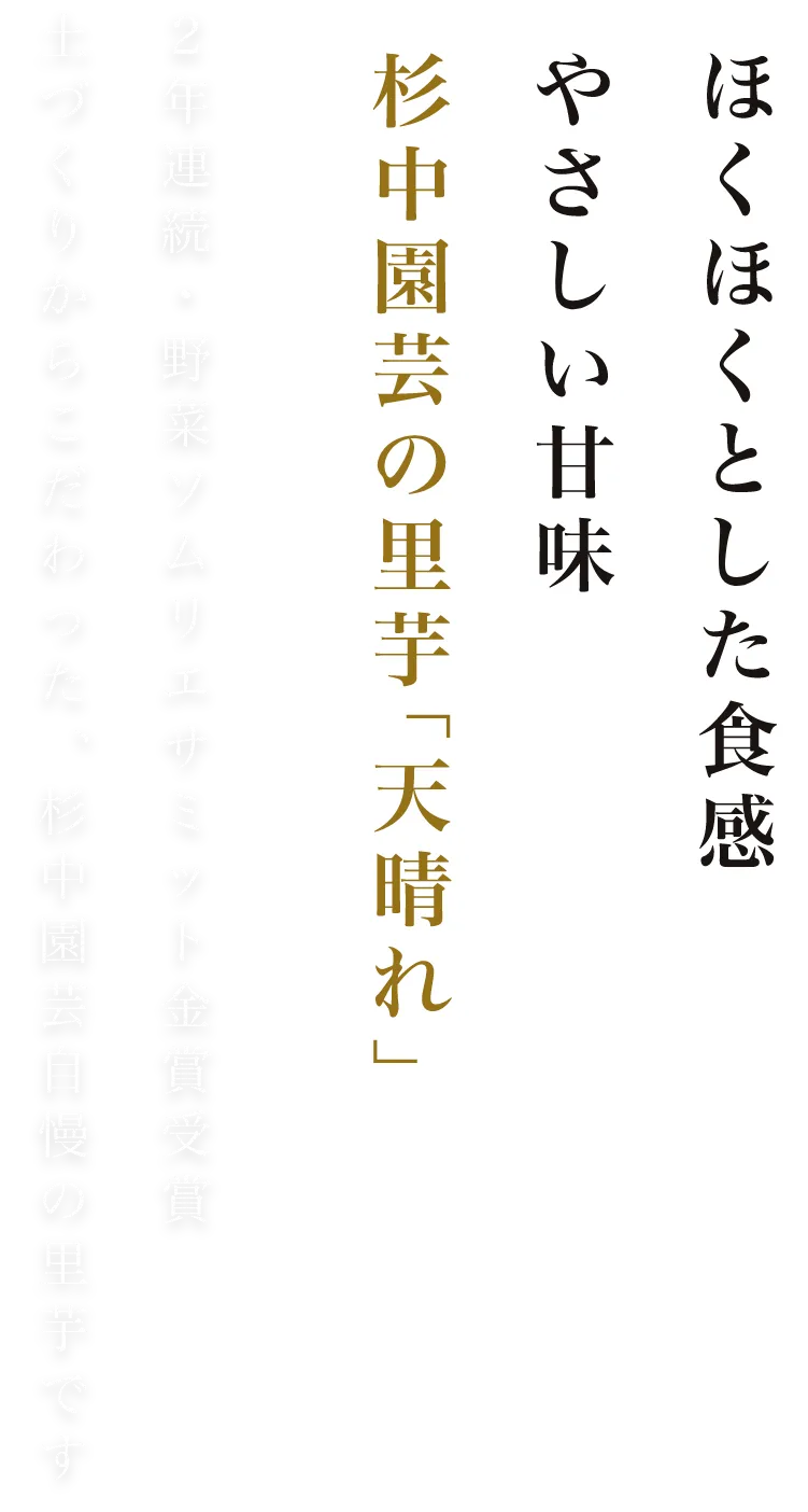 ほくほくとした食感 やさしい甘味 杉中園芸の里芋「天晴れ」2年連続・野菜ソムリエサミット金賞受賞 土づくりからこだわった、杉中園芸自慢の里芋です