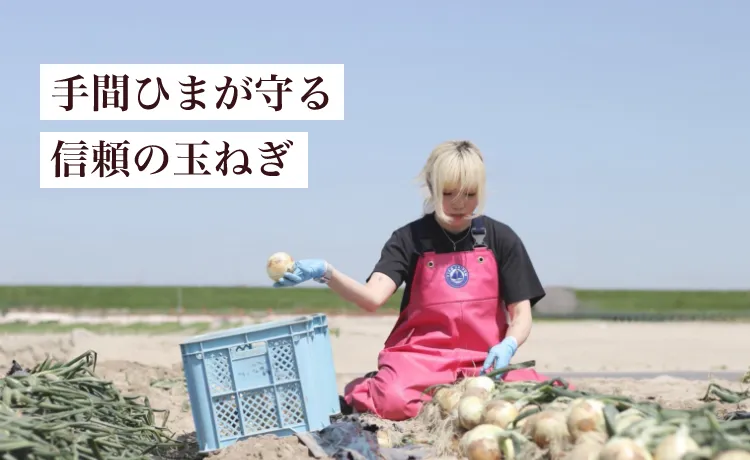 手間ひまが守る信頼の玉ねぎ
