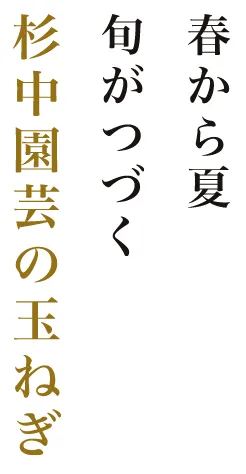 春から夏 旬がつづく杉中園芸の玉ねぎ