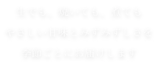 生でも、焼いても、煮ても、やさしい甘味とみずみずしさを季節ごとにお届けします