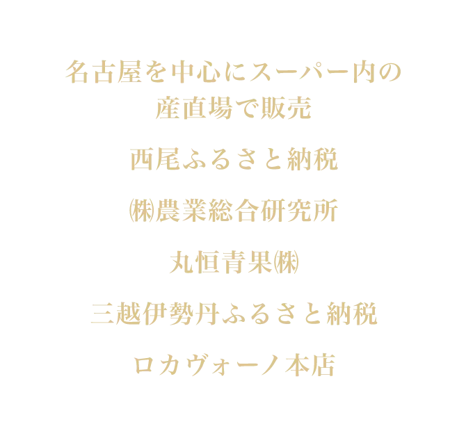 名古屋を中心にスーパー内の産直上で販売 西尾ふるさと納税 ㈱農業総合研究所 丸恒青果㈱ 三越伊勢丹ふるさと納税 ロカヴォーノ本店