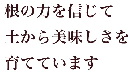 根の力を信じて土から美味しさを育てています