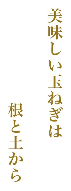 美味しい玉ねぎは根と土から