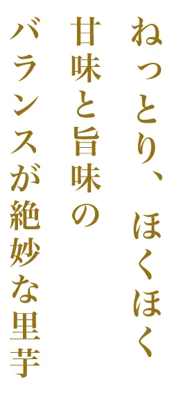 ねっとり、ほくほく 甘味と旨味のバランスが絶妙な里芋