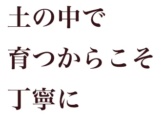 土の中で育つからこそ丁寧に